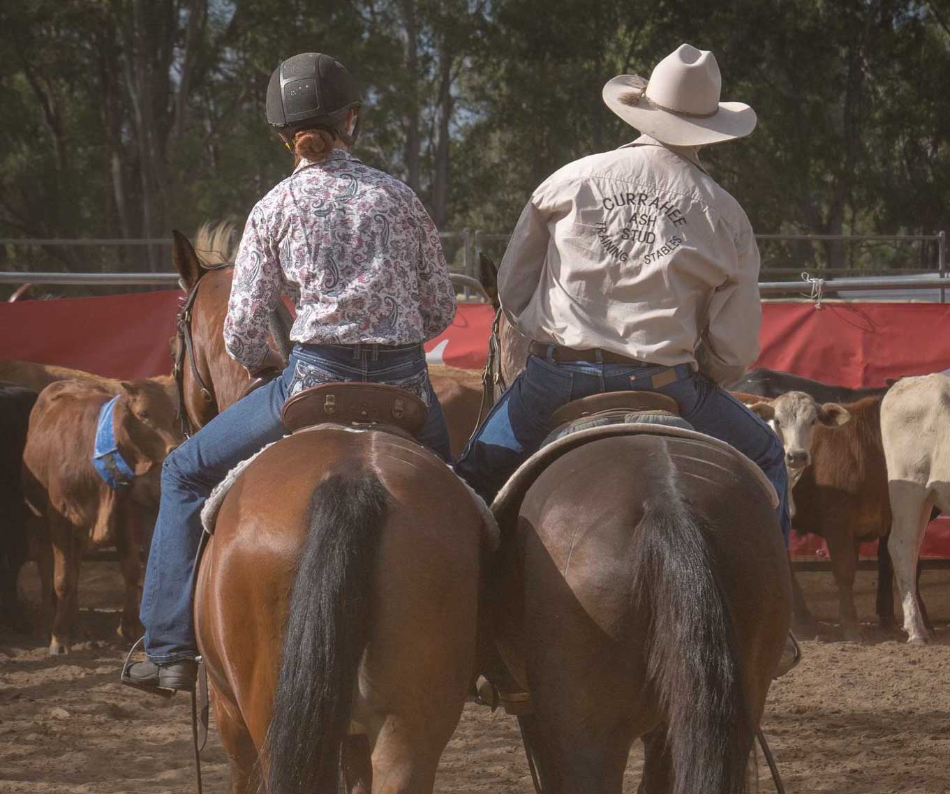 Proud Sponsor of the Gunalda & District Campdraft Association's Page Ranch Sorting and Team Penning Weekend