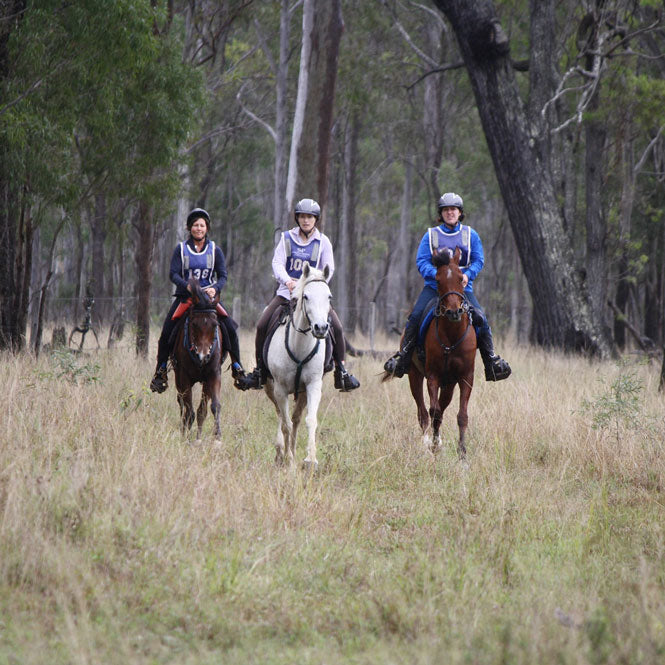 Saddle Up for the Widgee Endurance Ride - October 14-15, 2023 🐎