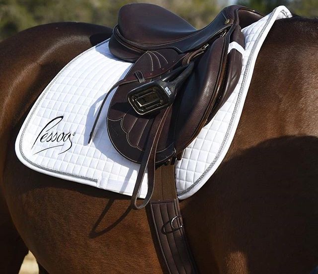 English Saddlery