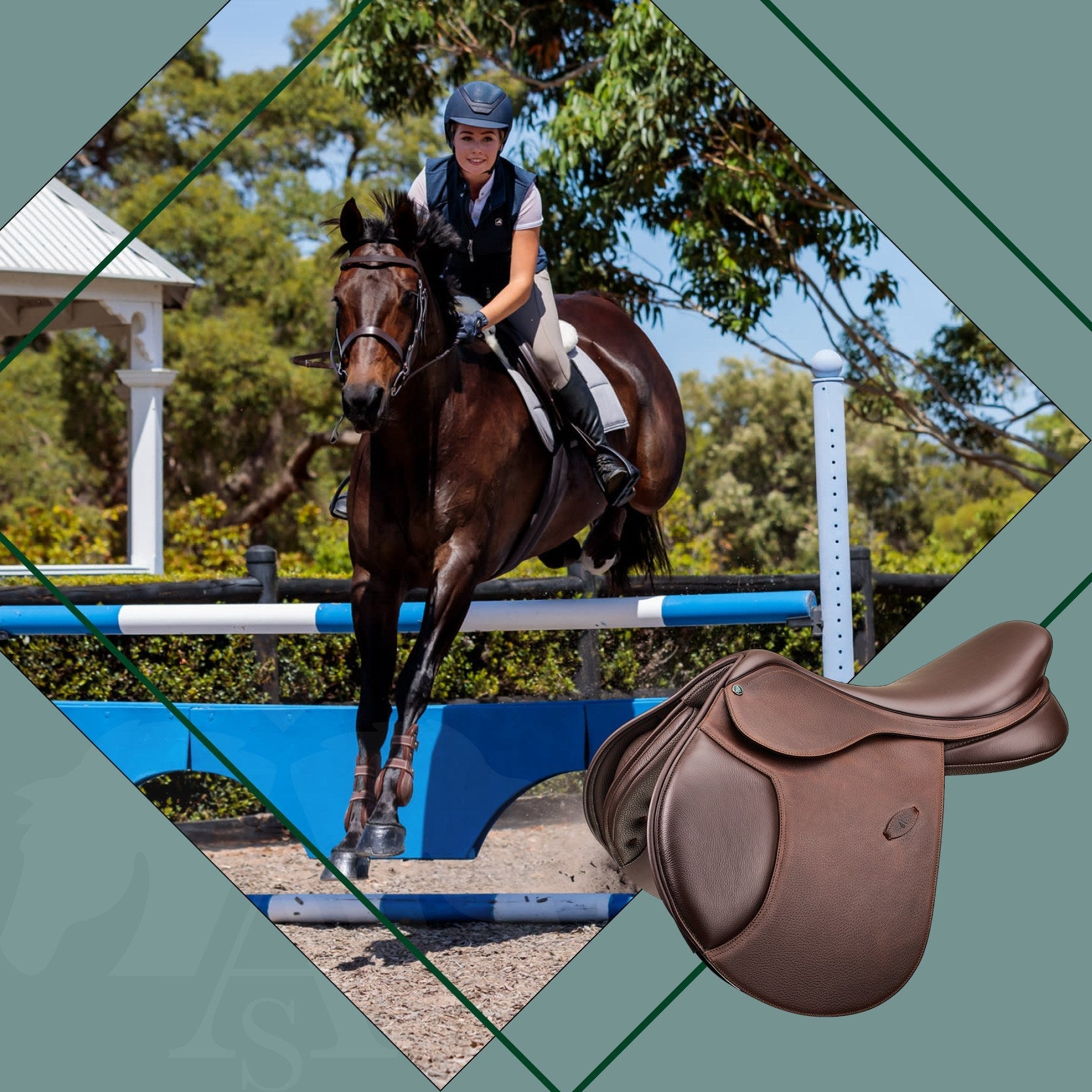 Saddles & Tack