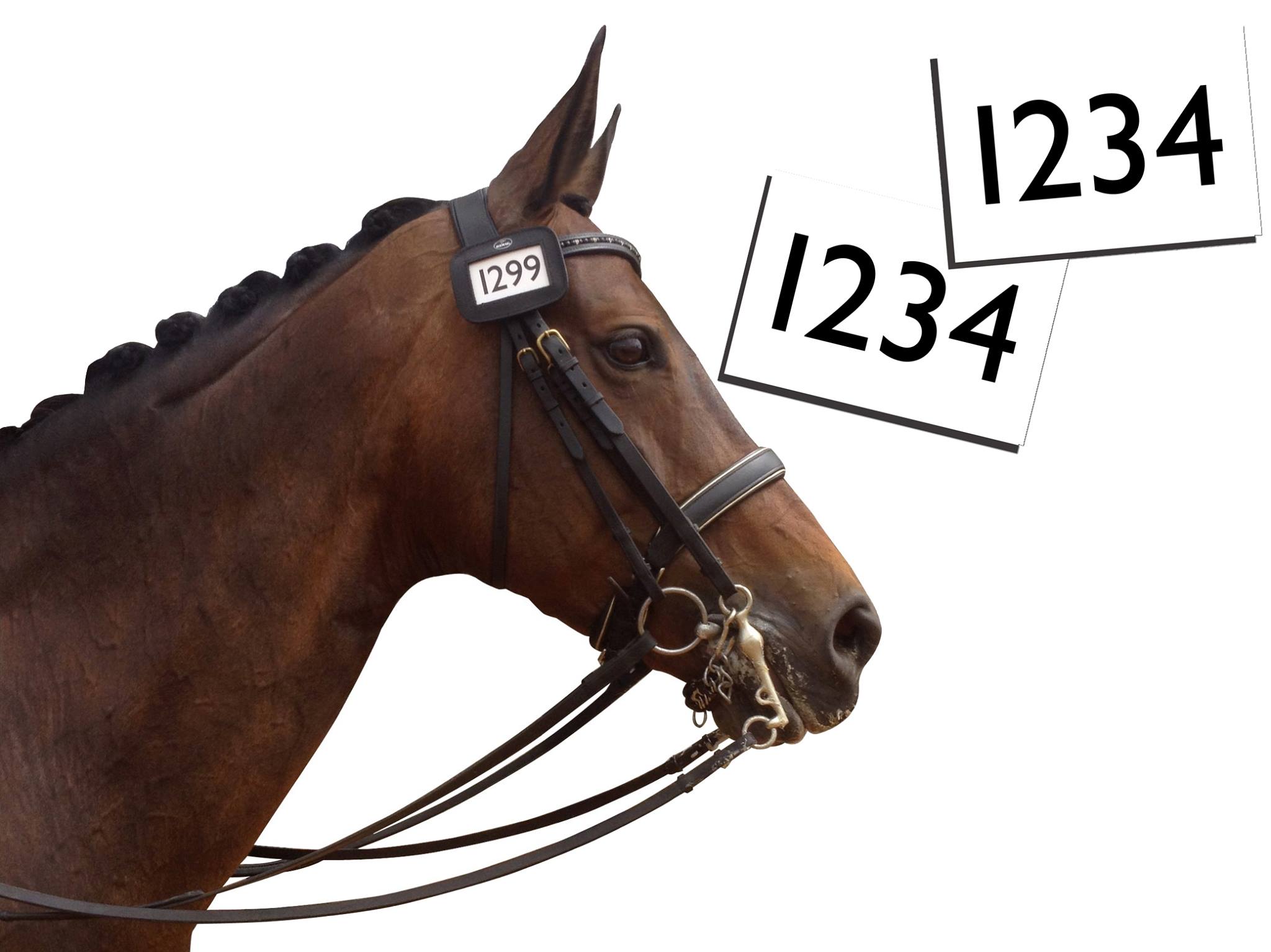 Bridle Number Holders