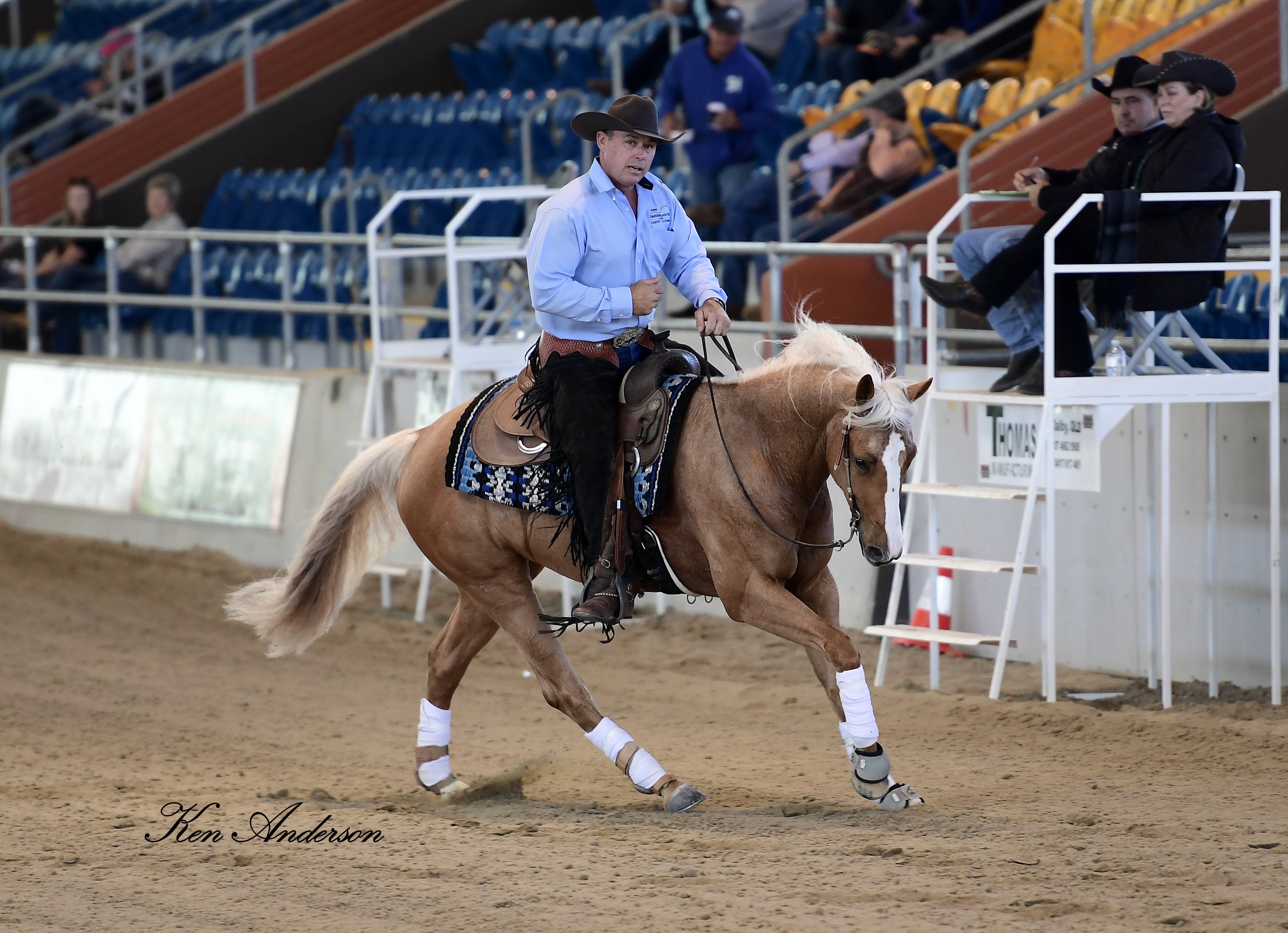 Saddle Pads Western