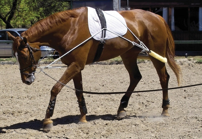 Training Equipment