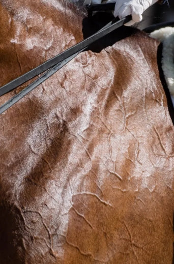 Blood Builders & Iron Supplements