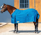 Academy Winter Horse Rugs 4ft0 Academy Rug New Canvas