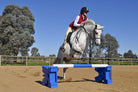 Ag Boss Arena Cavaletti Blocks