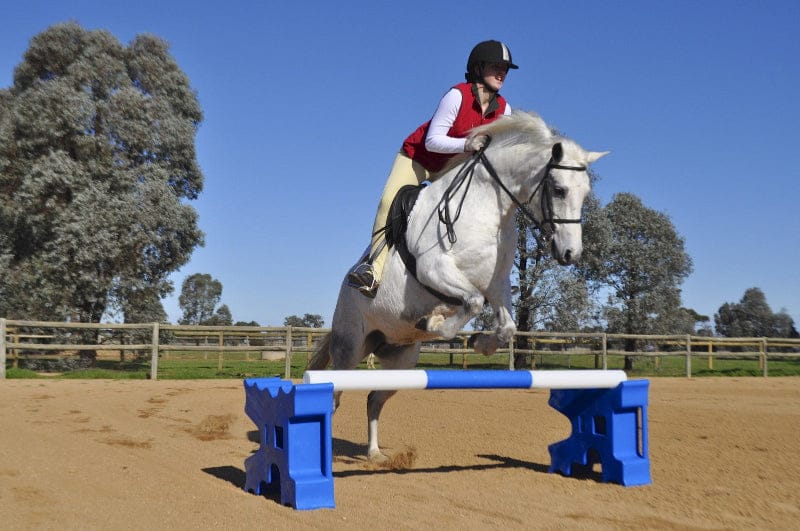 Ag Boss Arena Cavaletti Blocks