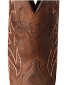 Ariat Mens Boots - Shoes Ariat Mens Sport Outdoor Boots