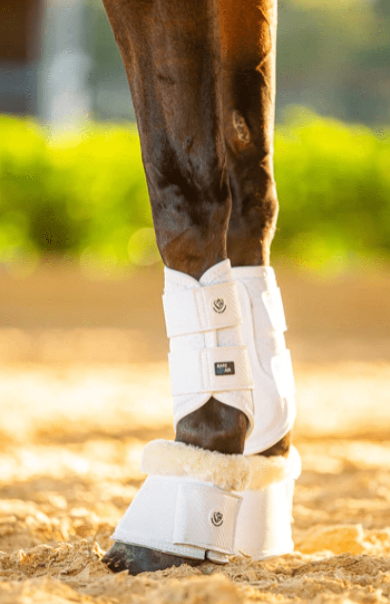 Bare Equestrian Horse Boots - Bandages Bare Equestrian Horse Boots Airflow Carbon Brushing