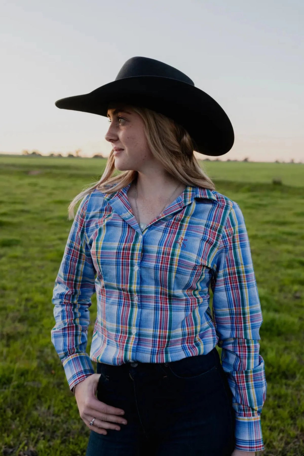 Black Colt Womens Shirts Black Colt Shirt Womens Jane Check