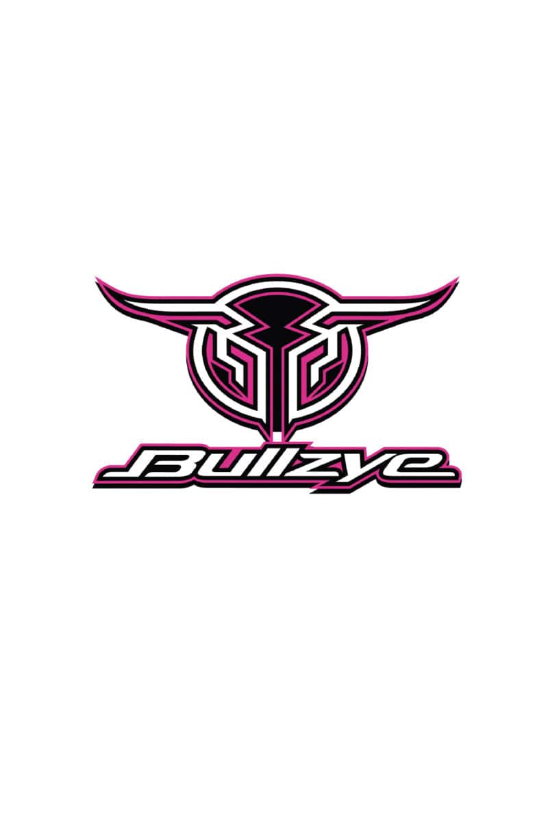 Bullzye Stickers - Decals Pink Bullzye Sticker Logo Size A
