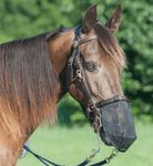 Cashel Fly Masks & Bonnets Large Cashel Quiet Ride Nose Net (QR-NN)