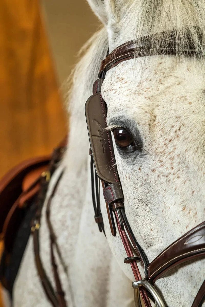 Dyon Bridle Accessories Dyon Blinkers