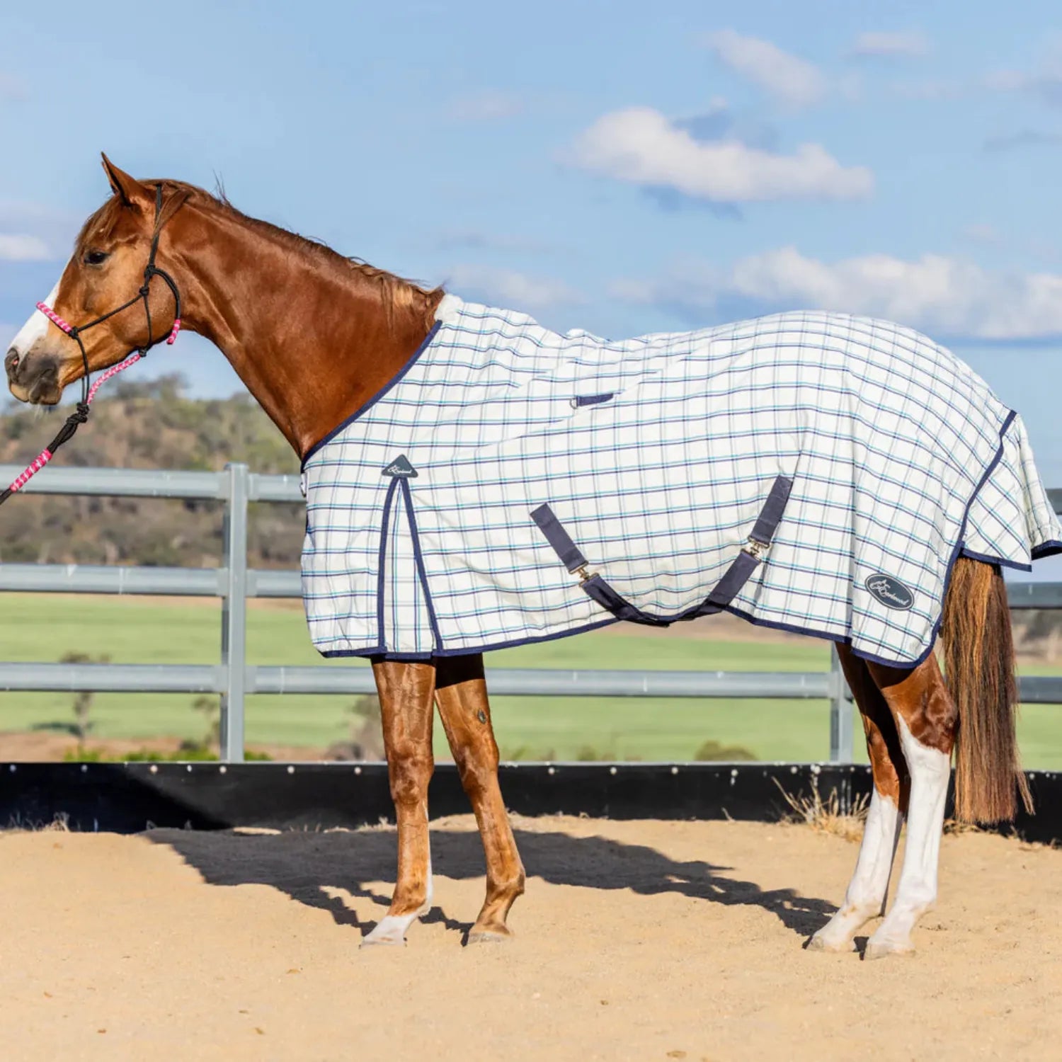 Earlwood Winter Horse Rugs 5ft6 / Navy/Teal Earlwood Rug Dual Season New Colours