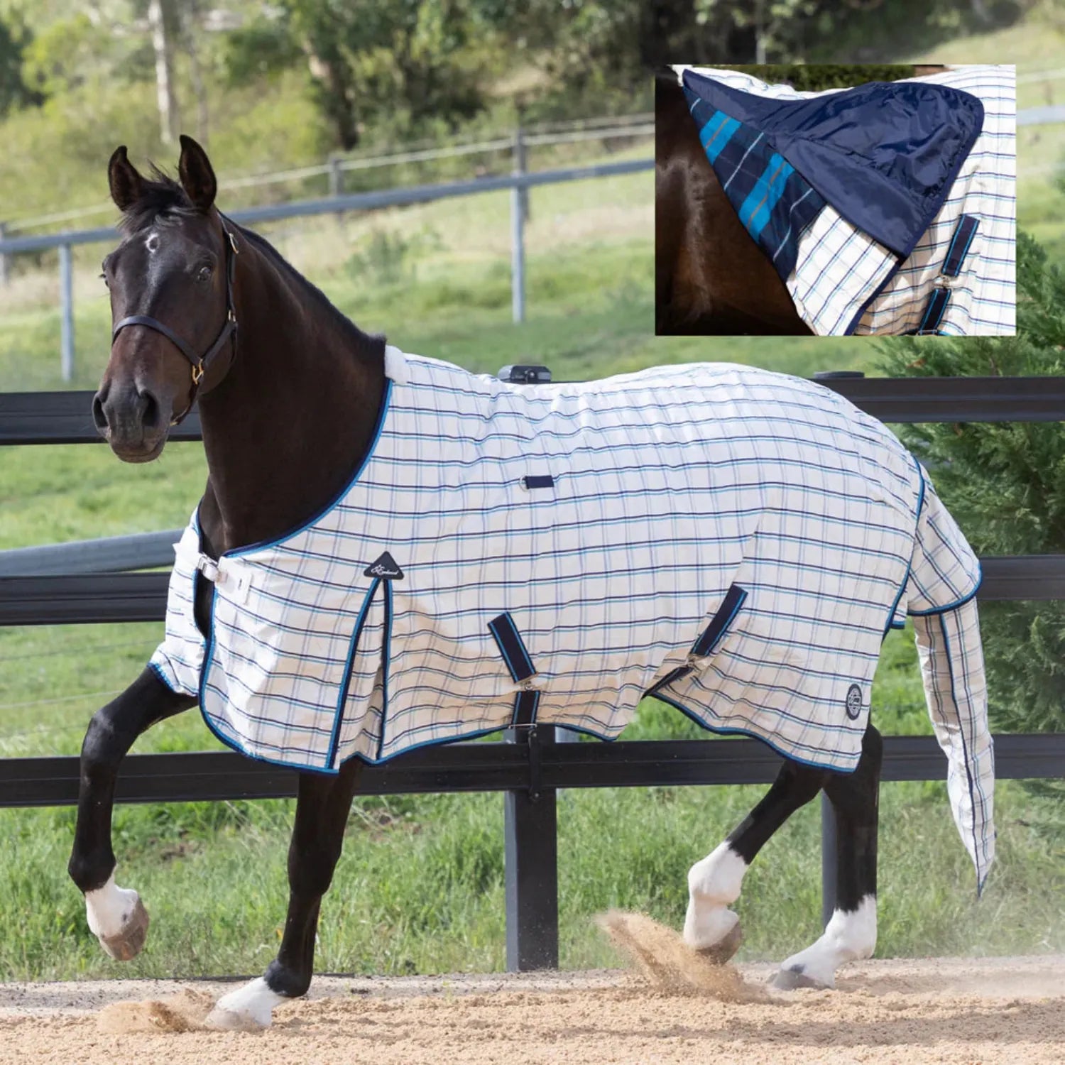 Earlwood Winter Horse Rugs 5ft6 / Navy/Teal Earlwood Rug Dual Season New Colours