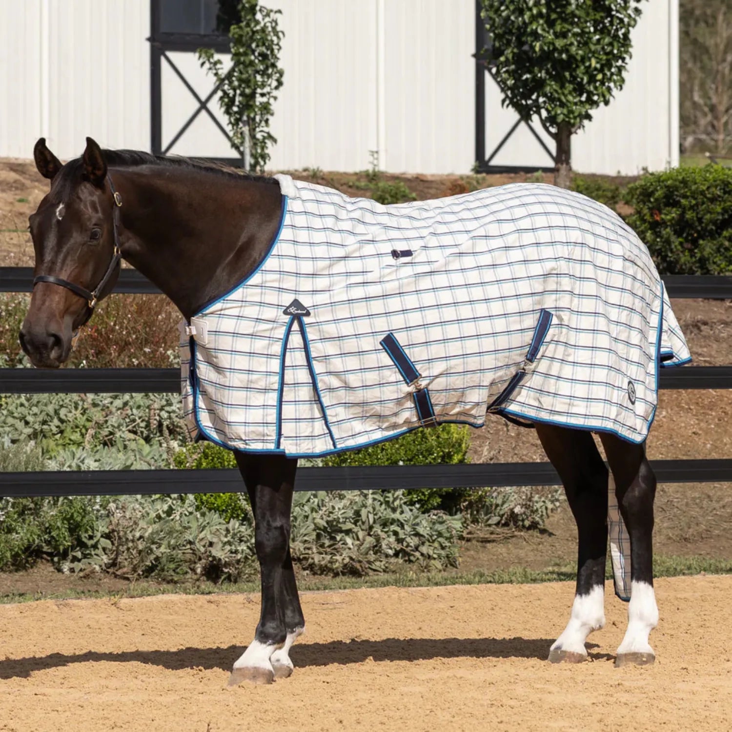 Earlwood Winter Horse Rugs 5ft6 / Navy/Teal Earlwood Rug Dual Season New Colours
