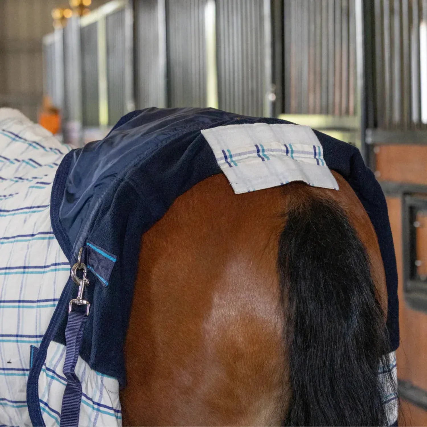 Earlwood Winter Horse Rugs Earlwood Dual Rug 2.0 Fleece Lined