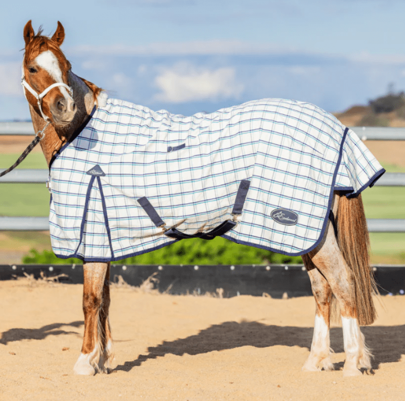 Earlwood Winter Horse Rugs Earlwood Rug Dual Season 2.0