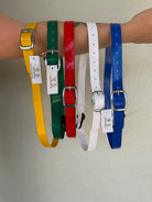 EquestPro Halters Blue PVC Broodmare ID Collar