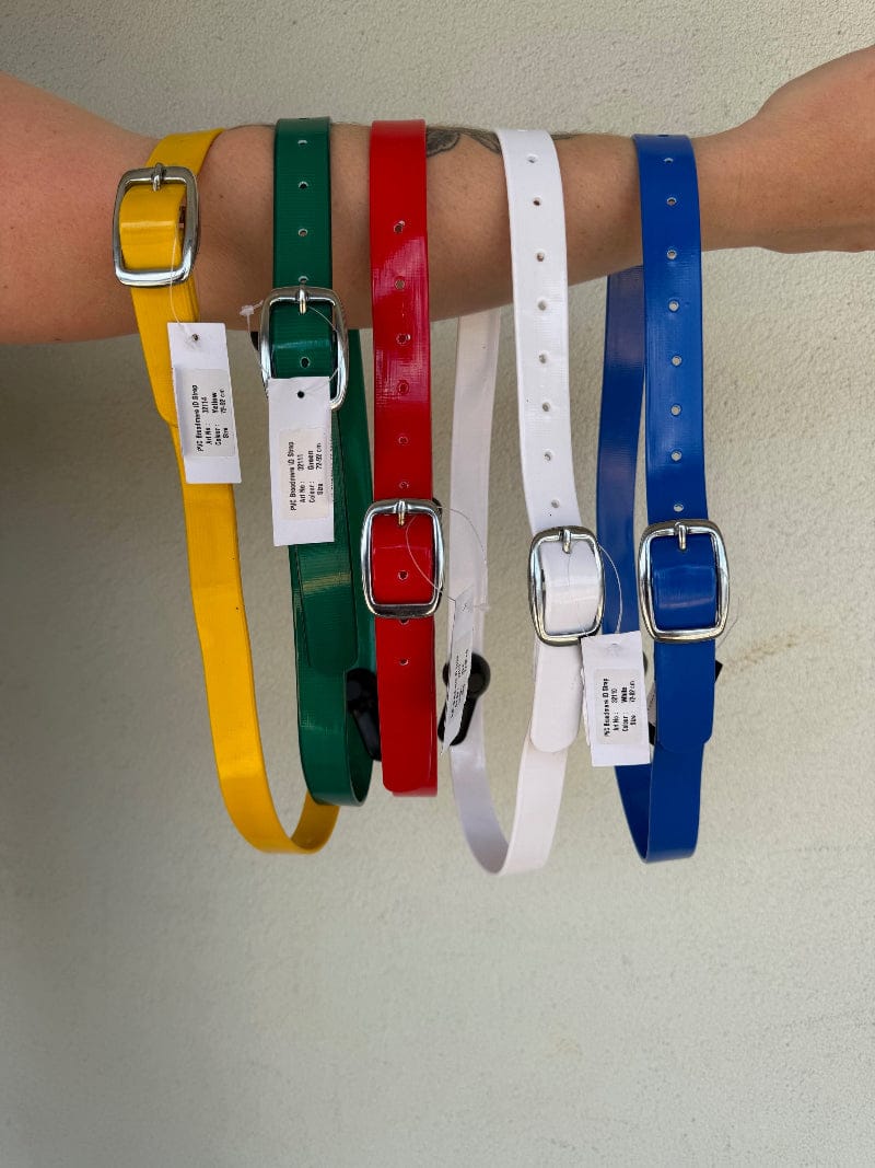 EquestPro Halters Blue PVC Broodmare ID Collar