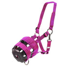 Equi Prene Stable - Tack Room Accessories Cob / Pink Equi Prene Grazing Muzzle (VET2295)