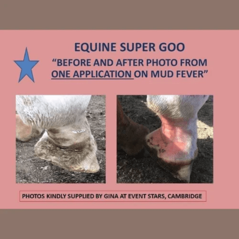 Equine Super Goo Vet & Feed 500ML Equine Super Goo Topical Cream