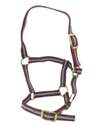 Eureka Halters Foal Eureka Halter with Brass Fittings Two-Tone