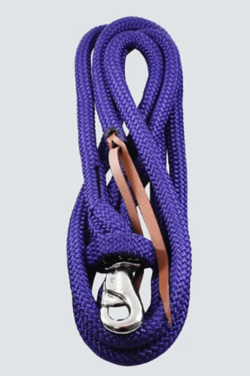 Eurohunter Lead Ropes 10ft / Purple Eurohunter Training Rope with Clip