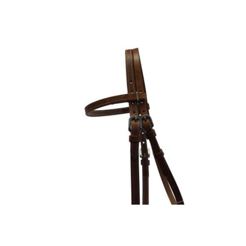 Fort Worth Bridles Cob/Full / Harness Fort Worth Headstall with Buckle Ends (FOR20-0017)
