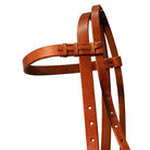 Fort Worth Bridles Fort Worth Double Rope Side Pull Bitless Bridle