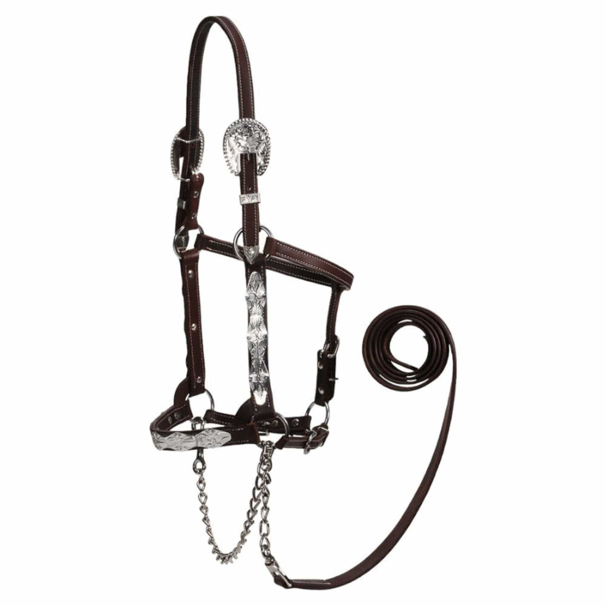 Fort Worth Halters Forth Worth Halter Ohio Show