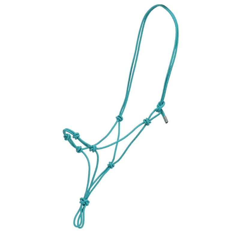 Fort Worth Halters Turquoise Fort Worth Halter Clinician/Training