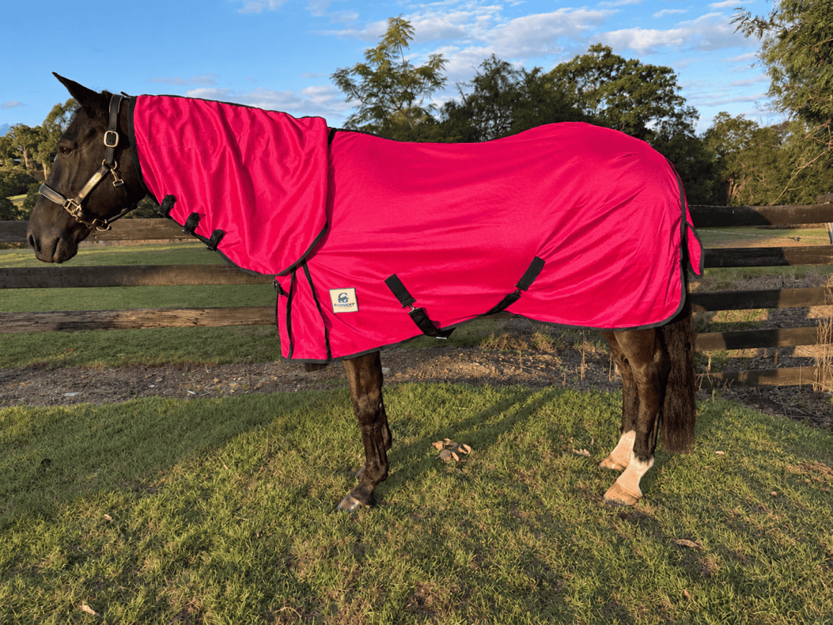 G Country Summer Horse Rugs 3ft3 / Hot Pink G Country Combo Deluxe Mesh Mini