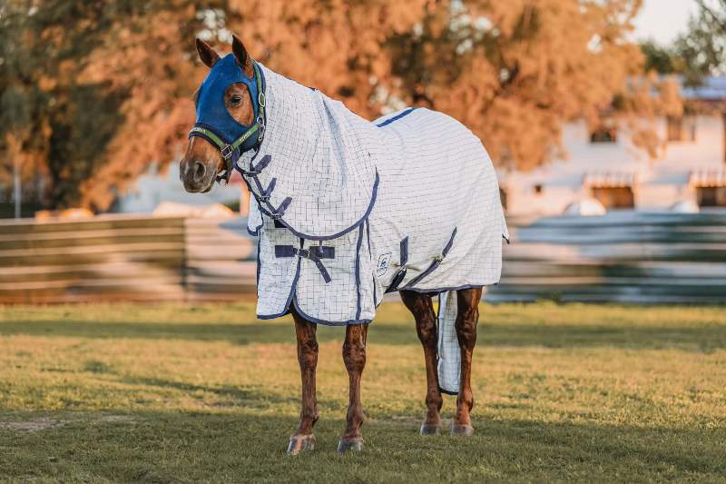 G Country Summer Horse Rugs G Country Combo Heavy-Weight