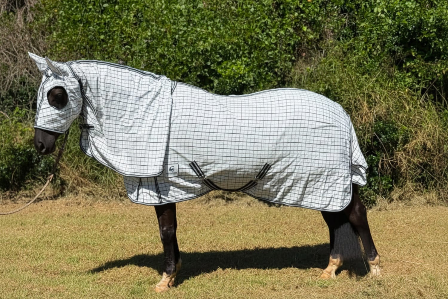 G Country Summer Horse Rugs G Country Hooded Combo Ripstop