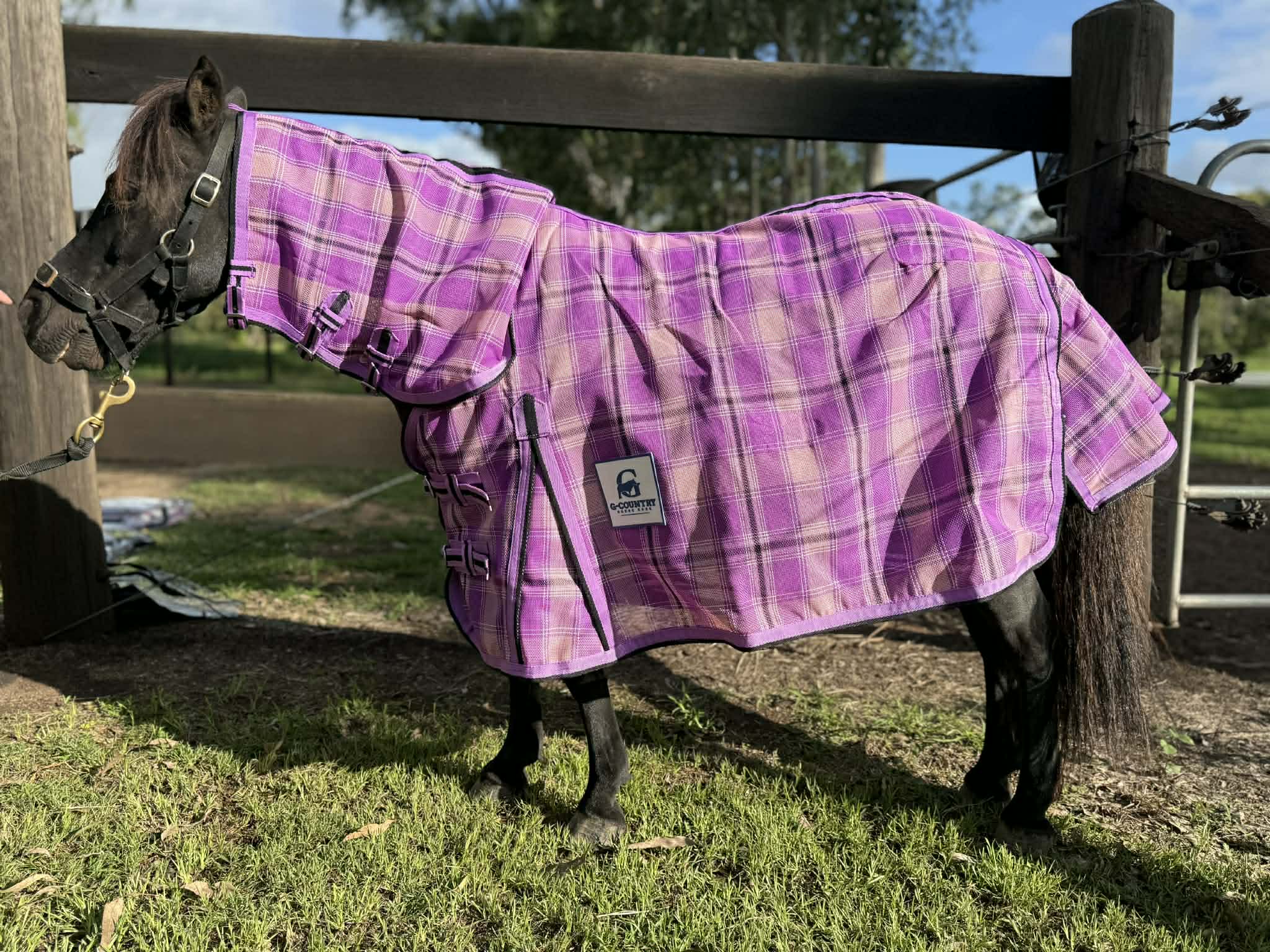 G Country Summer Horse Rugs G-Country PVC Combo Mesh Mini