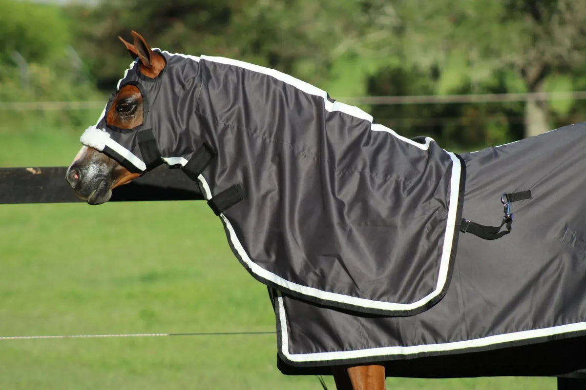 Gala Equine Summer Horse Rugs 6ft3 / Black Gala Equine Show Set with Surcingle with Platinum & Black Trim