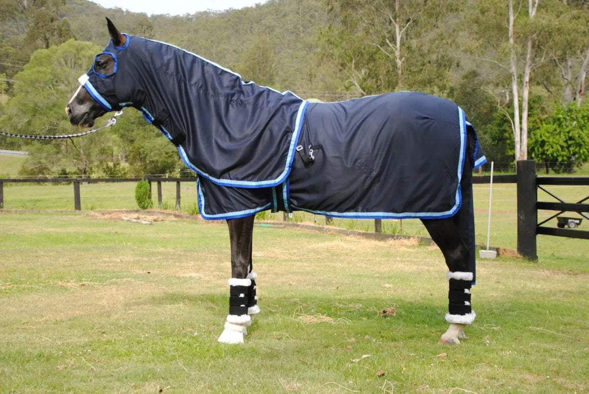 Gala Equine Summer Horse Rugs 6ft6 / Navy Gala Equine Show Set with Surcingle with Sky/Royal Blue Trim
