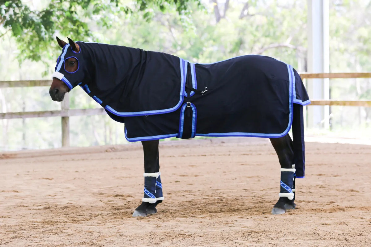 Gala Equine Summer Horse Rugs 6ft6 / Navy Gala Equine Show Set with Surcingle with Sky/Royal Blue Trim