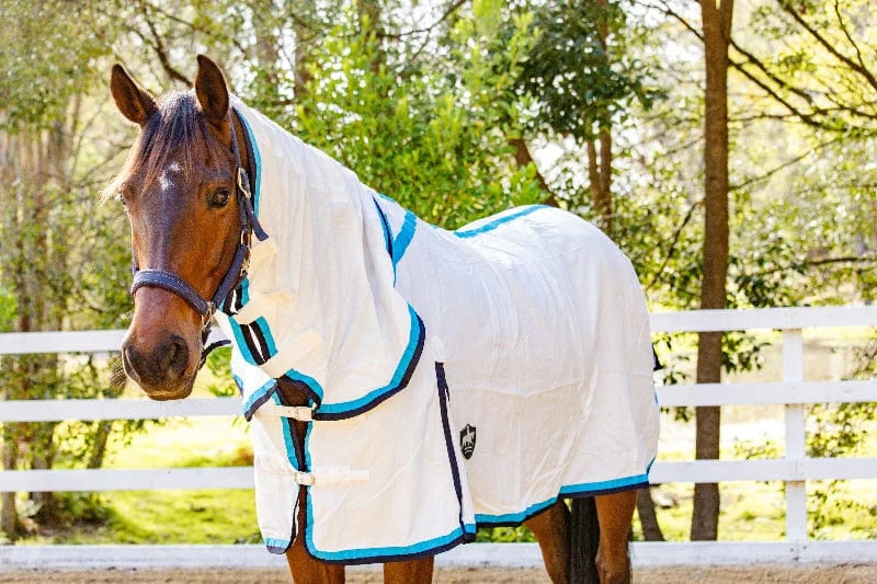 Gala Equine Summer Horse Rugs Gala Equine Flag Combo