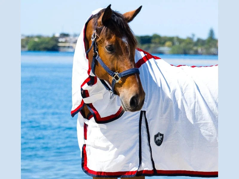 Gala Equine Summer Horse Rugs Gala Equine Flag Combo