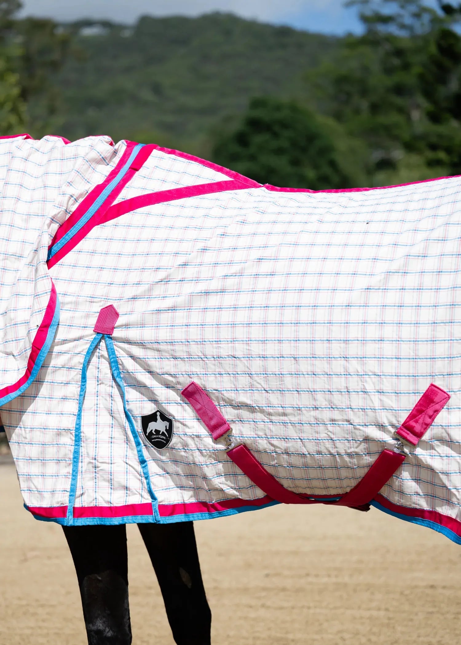 Gala Equine Summer Horse Rugs Gala Equine Hooded Combo Bubblegum Collection