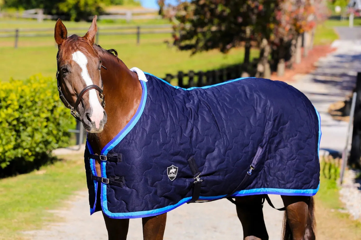 Gala Equine Winter Horse Rugs 5ft6 / Navy with Royal/Sky Trim Gala Equine Rug Luxury Stable Doona