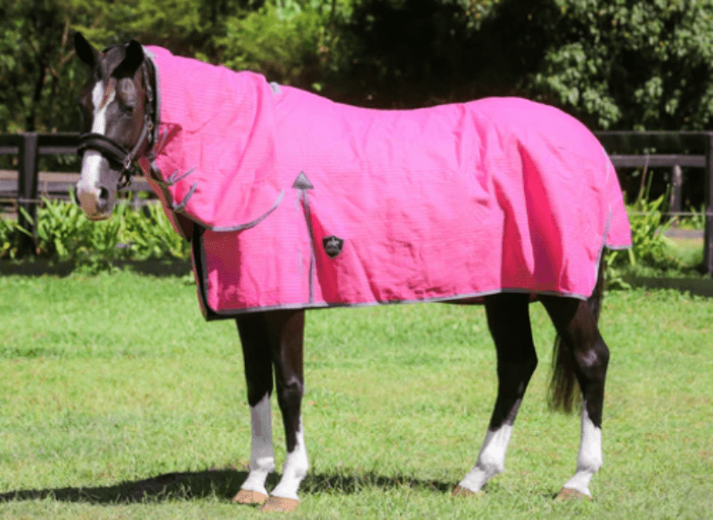 Gala Equine Winter Horse Rugs 5ft9 / Pink Gala Equine Combo Canvas Hinterland 20oz Unlined