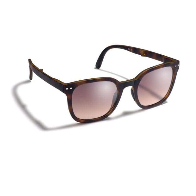 Gidgee Eyes Sunglasses Tortoise Gidgee Eye Sunglasses Canter Foldable