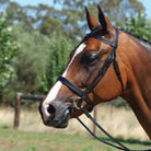 Grainge Bridles Pony / Black Grainge Elite Show Snaffle (GRES512)