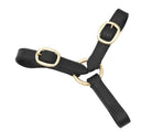 Grainge Lead Ropes Black Grainge Argosy Lead Elite 2 Buckle