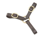 Grainge Lead Ropes Havana Grainge Argosy Lead Elite 2 Buckle