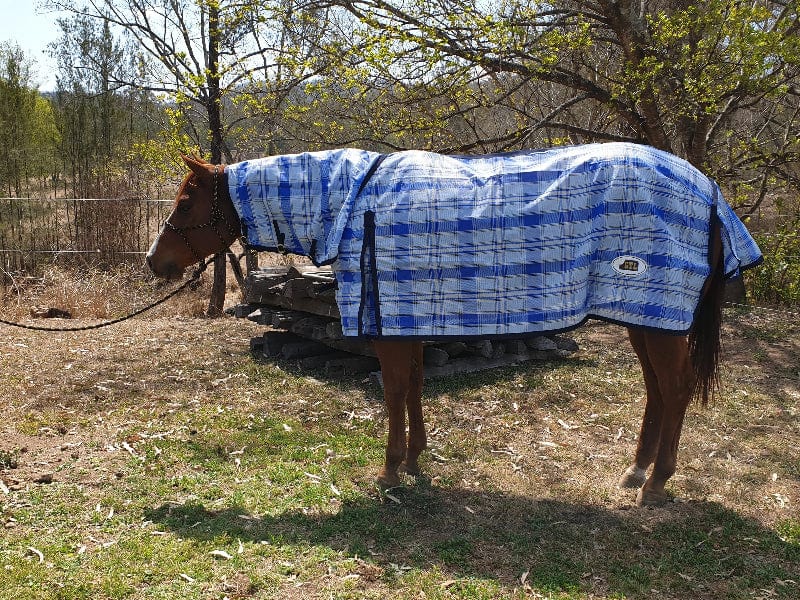 GTL Summer Horse Rugs 5ft9 / Blue/Cream Check GTL PVC Shadecloth Combo