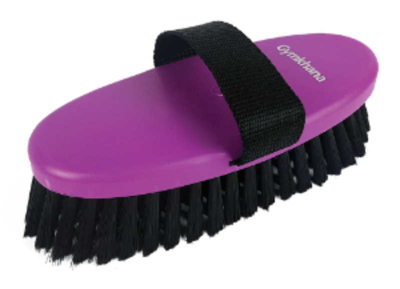 Gymkhana Grooming S / Purple Gymkhana Body Brush Junior